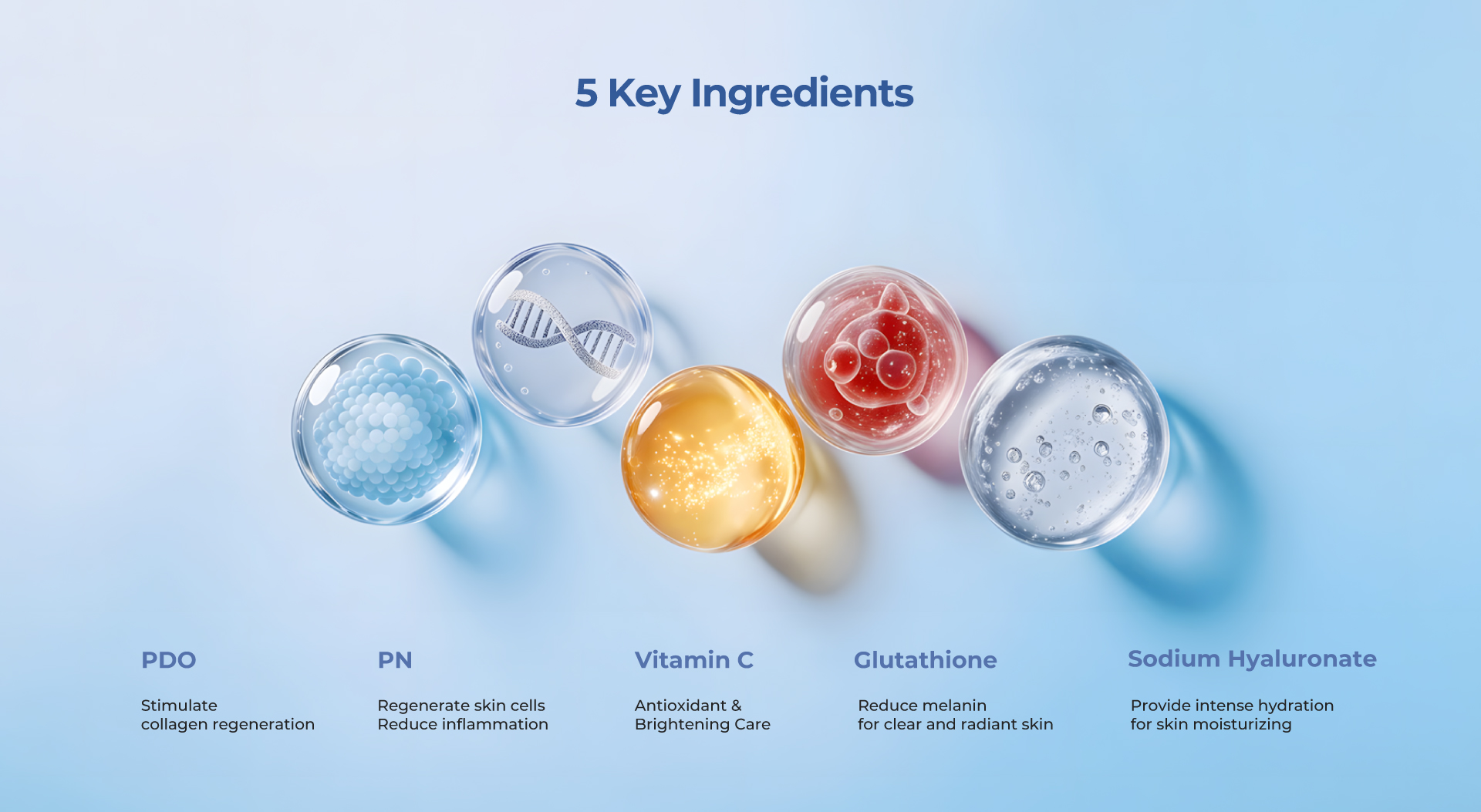 RENUVOL background visual