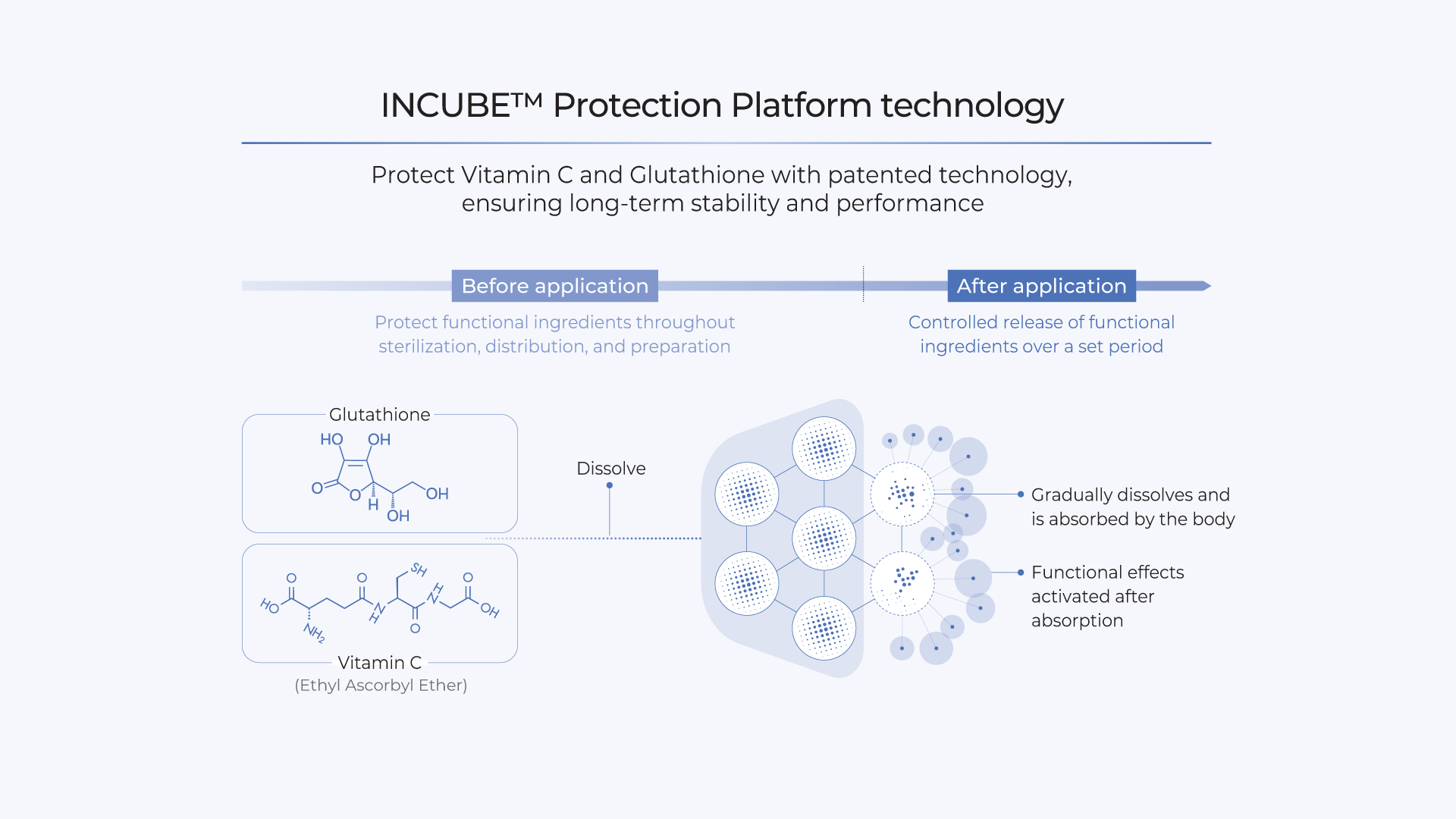 RENUVOL background visual