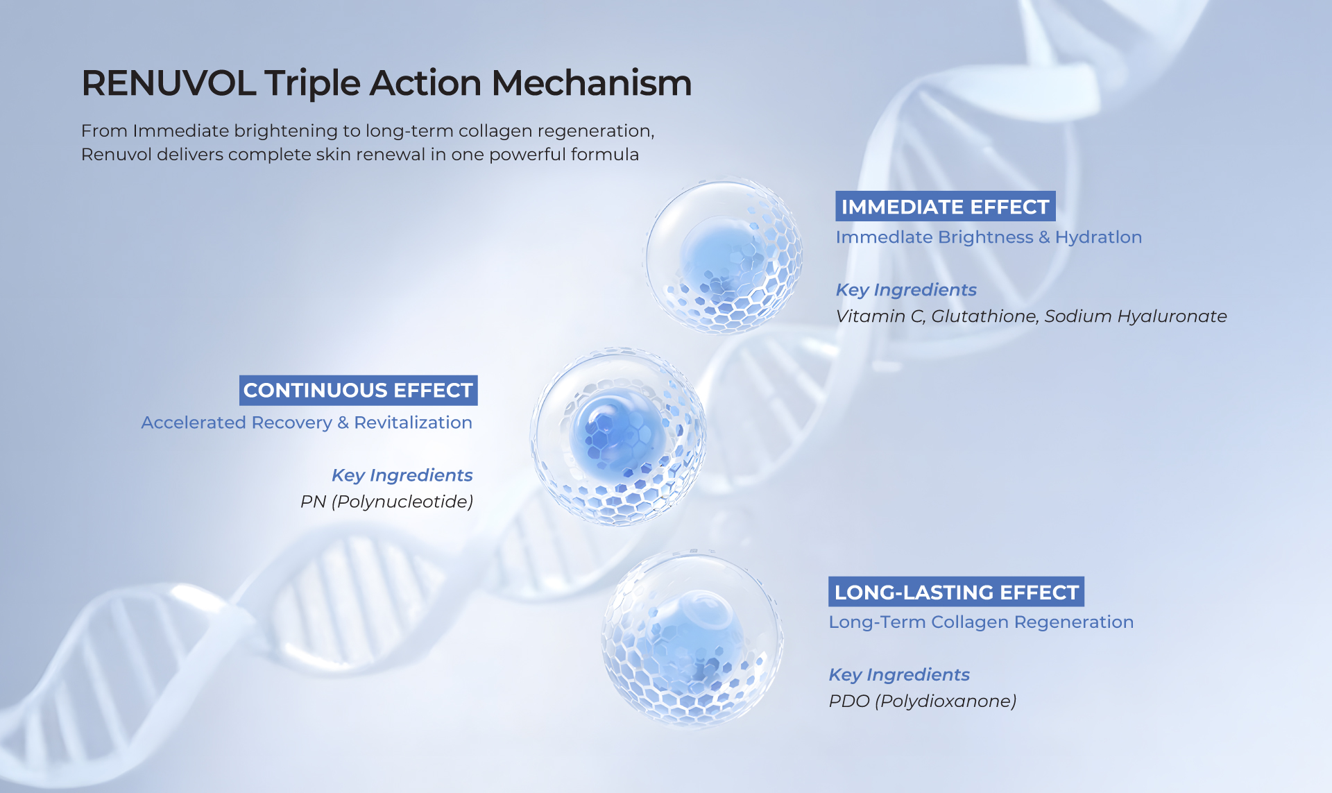 RENUVOL background visual